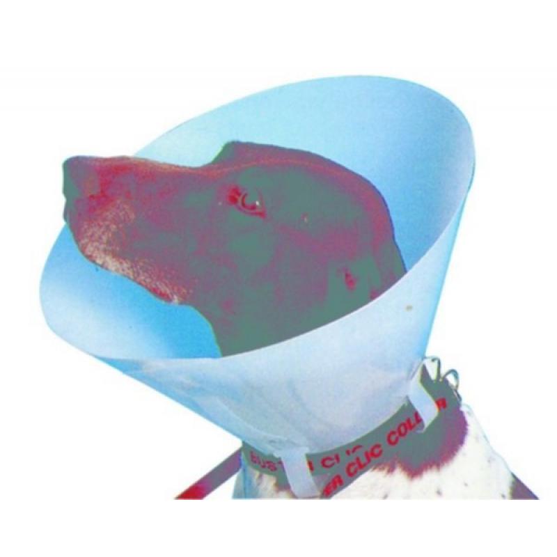 4007008.jpg
